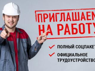 Работа в Польше на производствах в Европе.