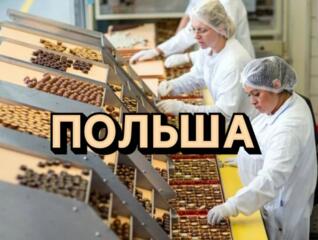 Требуются женщины на производство и упаковку печения ПОЛЬША