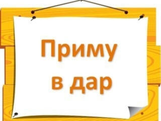 Приму в дар или куплю недорого мебель. Диван Софу Кровати Стол Стулья