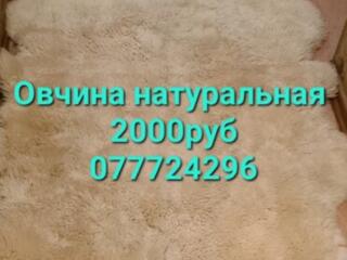 Цветной ковер из длинношерстной овчины с золотой звездой. 170/100см