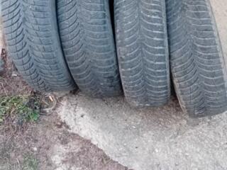 205/65 R15 зима Goodyear