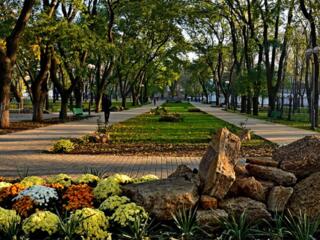 Просторная квартира возле парка. 2/5. 83/57/8.