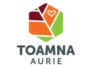 Пансионат Toamna Aurie.