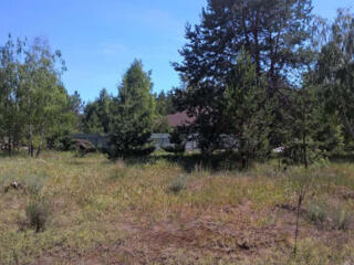 продаж ділянка під житлову забудову Вишгородський, Хотянівка, 288000 $