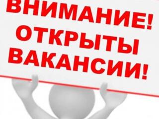 Компания в поисках специалистов!