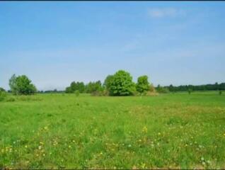 Продам свой участок 11.45 соток правильной формы в бывшем СК ...