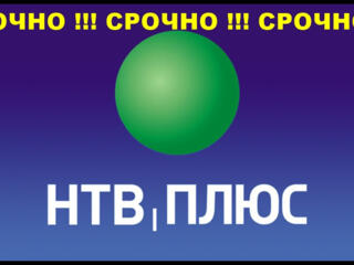 НТВ+Бесплатно. НТВ+Бесплатно. НТВ+Бесплатно. НТВ+Бесплатно. НТВ+Бесплатно.