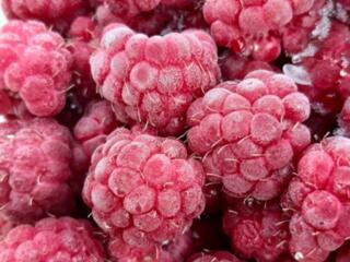 Продаю свежую МАЛИНУ