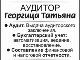 Аудит. Бухгалтерский учет. Составление отчетности