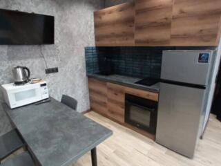 1-комн квартира с ремонтом в ЖК Солнечный Аркадия