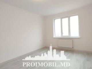 Chișinău, Ciocana Ion Dumeniuc. Telefon: 3737808888 Кишинёв, Чеканы ..