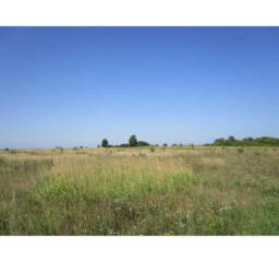 продаж ділянка під житлову забудову Бучанський, Білогородка, 7670000 г