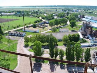 Действующий элеватор, г. Измаил