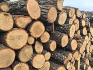 Продам дрова, самые низкие цены