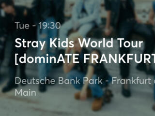 Билет на концерт Stray Kids Frankfurt 15 июля 2025