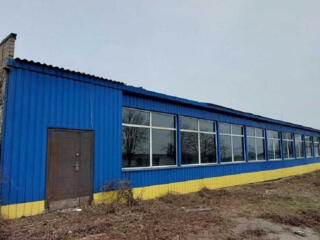 продаж торгові площі Долинський, Долинська, 898500 грн.