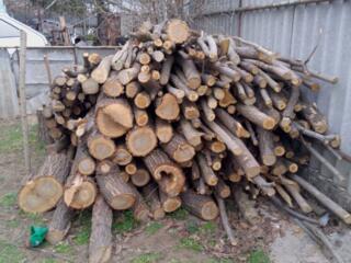 Продам дрова по 500р за куб