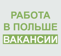 Работа по биометрии в Европе. Быстрые выезды.