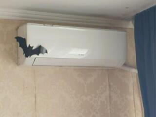 2-кімнатна квартира в центрі селища Котовського 