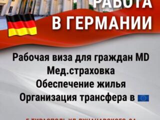 Работа в Германии