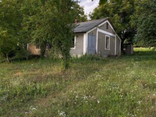 продаж 3-к дача Заставнівський, Шубранець, 9000 $