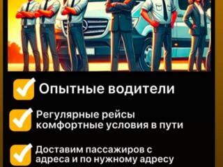 Информация о перевозках в Германию, Польшу