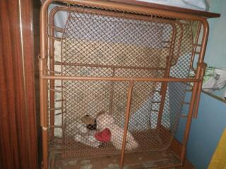 Кровать раскладная односпальная