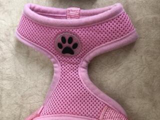 Шлейка для животных