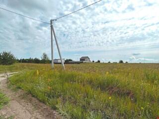 продаж ділянка під житлову забудову Бориспільський, Богданівка, 7000 $