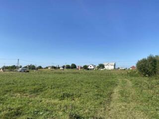 продаж ділянка під житлову забудову Броварський, Красилівка, 6500 $