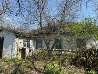 продаж 2-к будинок Броварський, Велика Димерка, 25000 $