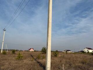 продаж ділянка під житлову забудову Броварський, Рожівка, 12500 $