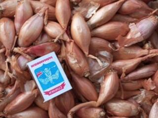 Продам семейный лук Глиное Слободзейского района