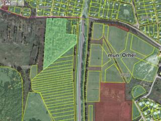 Întrarea Orhei. Afacere de perspectivă. Lot 252 ar agricol. 1200 E/ar