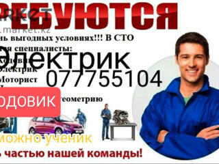 РАБОТА НА СТО. Авто Электрик/Ходовик. Тирасполь.