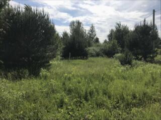 продаж ділянка сільськогосподарського призначення Обухівський, Козин, 