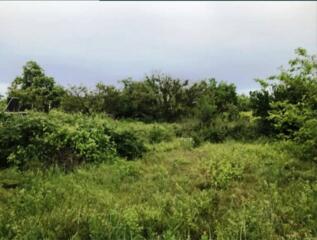 Продается участок в 5 км от города, 20 минут на маршрутке до ...