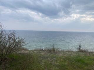 Продам земельный участок на территории Сычавского поселкового совета. 