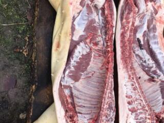 Домашняя свинья на мясо на заказ