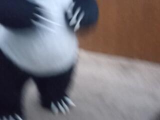 Поздравления