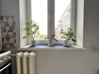 Лучшее предложение по цене. Торг. Мебель и техника по необходимости