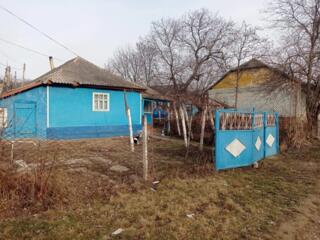 Продам дом в селе Жура