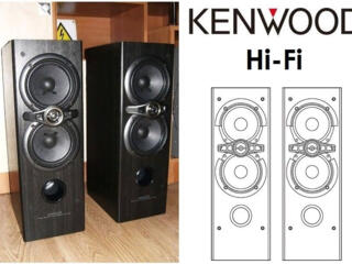 Акустические дерево колонки Hi-Fi Kenwood 2-полосные, 3-драйверные