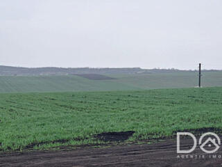 Teren agricol, 23,7 ari, Băcioi