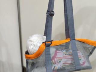 Прогулочные Сумки-переноски для мелких породистых собак