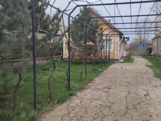 Продается дом в с. Парканы