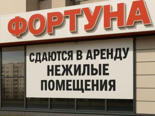 Сдаются в аренду нежилые помещения в ТЦ «Фортуна», район Бородинка
