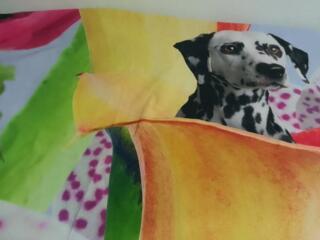 Продам. Непромокаемая ткань 3.68х2.5 стол компьютерный 1700 руб.