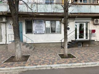 Большое помещение с ремонтом!