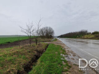 Земля сельскохозяйственного назначения, 22,94 соток, Бачой